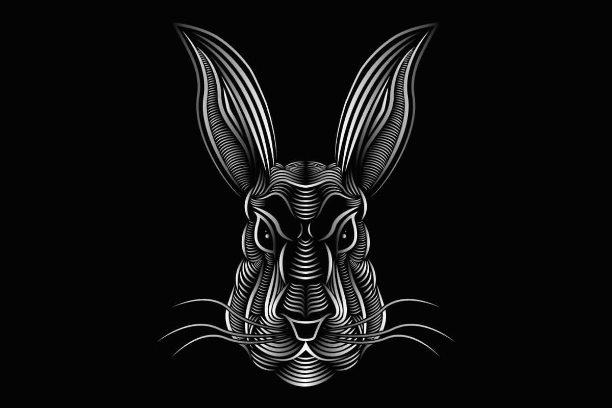 vector_lapin_02