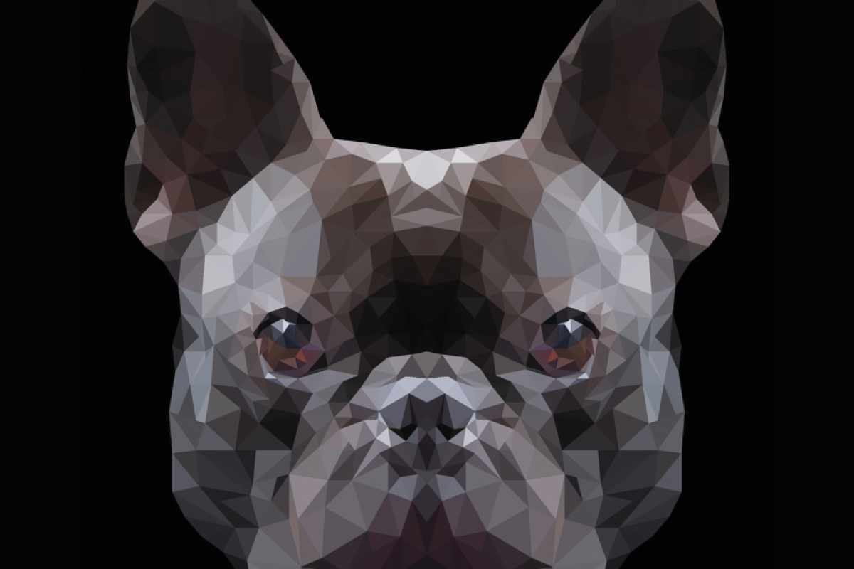 vector_law_chien_04